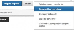 idioma linkedin 1