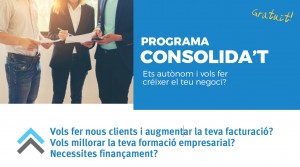 consolidat 2019