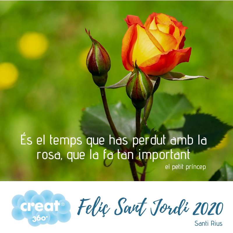 Sant Jordi Creat360 2019